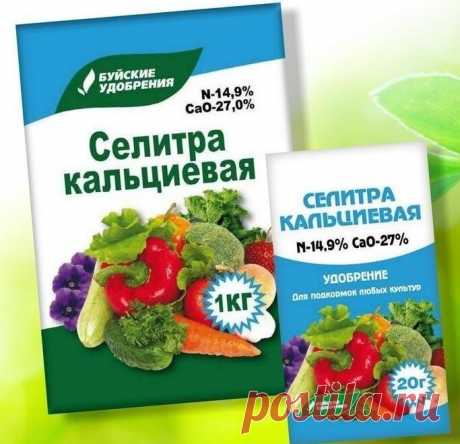 Универсальная подкормка для всей рассады. Делюсь своим рецептом | Дом и Огород | Яндекс Дзен