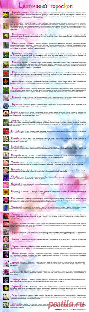 Цветочный гороскоп