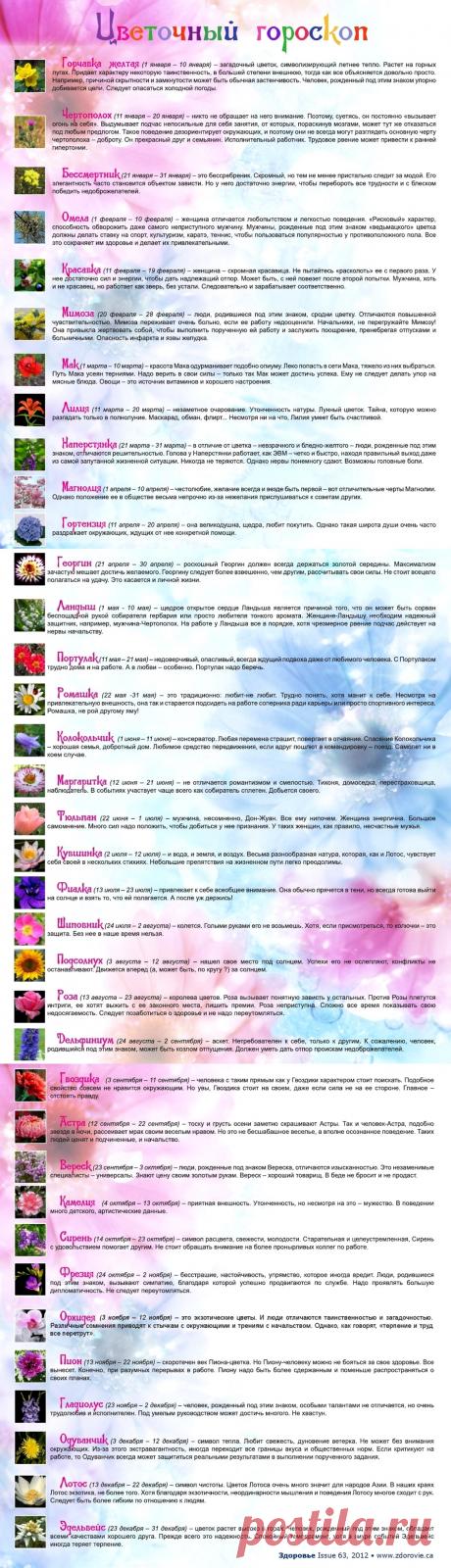 Цветочный гороскоп