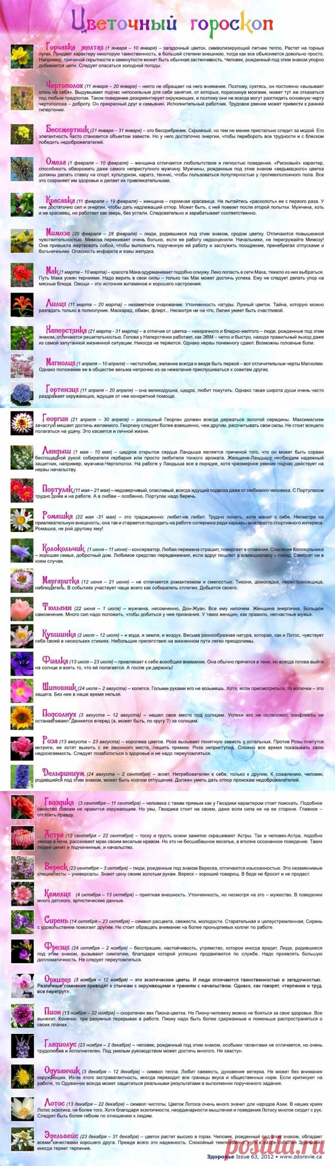 Цветочный гороскоп