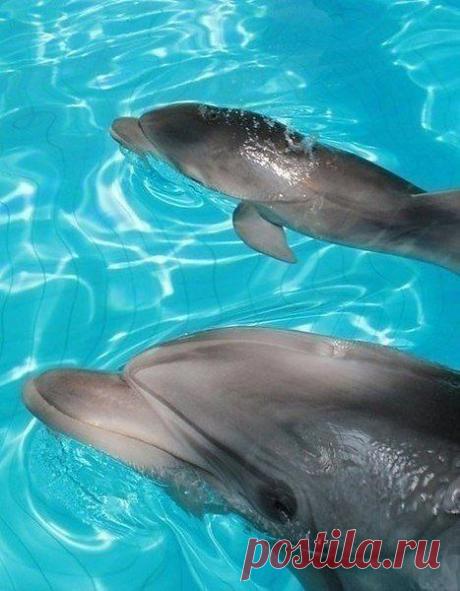 Анна: Словами можно прикасаться............