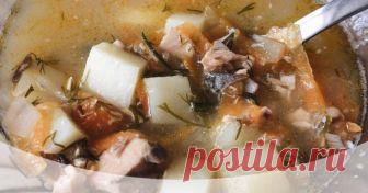 Суп с консервированной горбушей Автор рецепта Настёныш Суп с консервированной горбушей - пошаговый рецепт с фото.