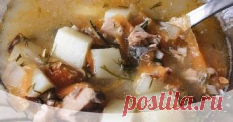 Суп с консервированной горбушей Автор рецепта Настёныш Суп с консервированной горбушей - пошаговый рецепт с фото.