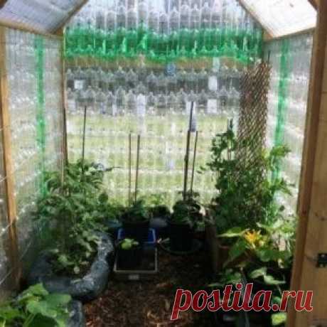 Секретная часть разговора Кличко с сенатором Маккейном стала достоянием мировой общественности.