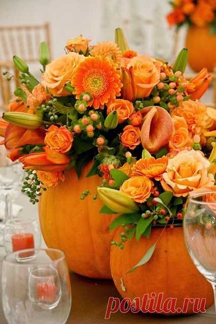 https://ru.pinterest.com/pin/151363237455240320/
