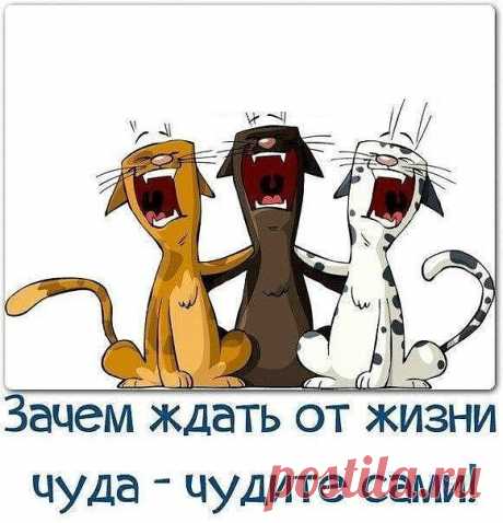 • УСПЕХА • УДАЧИ • СЧАСТЬЯ •    
                         • ПРОЦВЕТАНИЯ •                                                                
          • https://megaintercorp.com/?rid=358067 
            • https://megaintercorp.mirtesen.ru/  
                Пусть будет жизнь наполнена мечтами,
                    Успехами, прекрасными делами,
                 Хорошими и добрыми людьми,