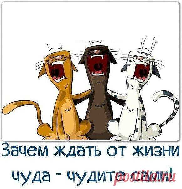 • УСПЕХА • УДАЧИ • СЧАСТЬЯ •    
                         • ПРОЦВЕТАНИЯ •                                                                
          • http://megaintercorp.com/?rid=358067 
            • http://megaintercorp.mirtesen.ru/  
                Пусть будет жизнь наполнена мечтами,
                    Успехами, прекрасными делами,
                 Хорошими и добрыми людьми,