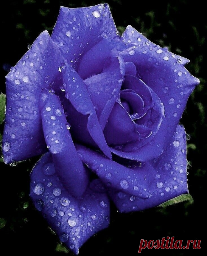 фото