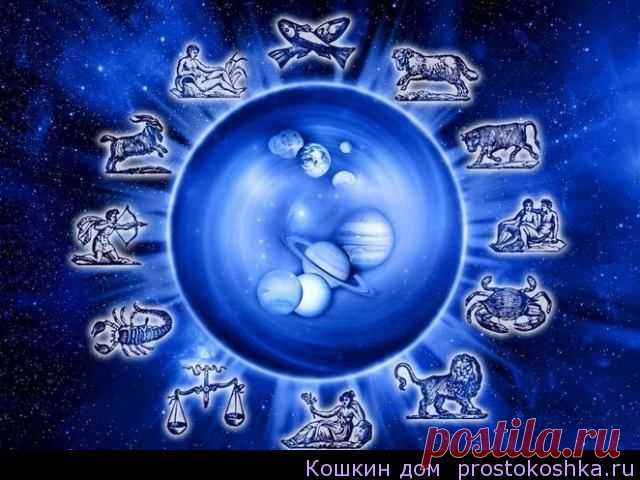 Лучший день в неделе по Знаку Зодиака
Рождение новой жизни, судьба маленького человека,– все подвластно звездам. Их влияние многогранно. Знак зодиака наделяет своего обладателя характерными чертами и жизнью отличной от остальных. Одних ждет успех и блистательное будущее, другие постоянно притягивают к себе неприятности. Знание – сила, а знания о магическом воздействии звездного неба позволит всегда быть «на высоте» в любой день.