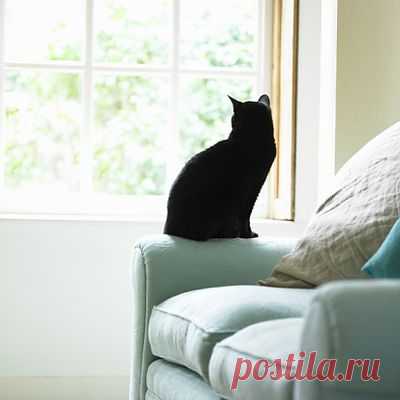 Easy Feng Shui: Decorate Your House with Color Black