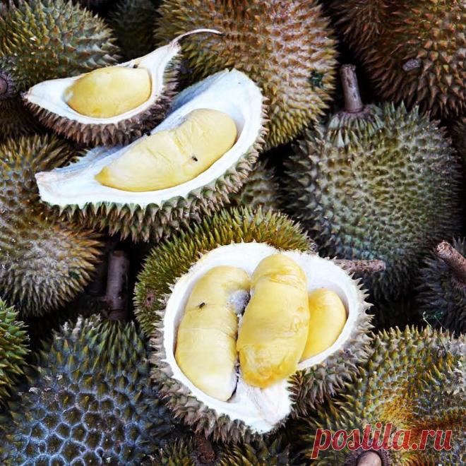 19 редчайших экзотических фруктов, о которых вы не слышали