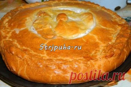 Пирог с курицей на сливках — Готовим дома