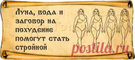 Луна, вода и заговор на похудение помогут стать стройной :: Заговоры и молитвы - Верую Господи.Ру