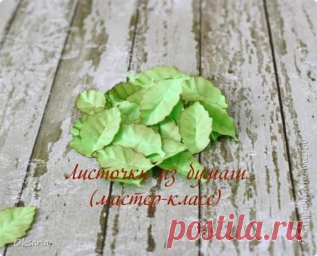 Листочки розы из бумаги МК | Страна Мастеров