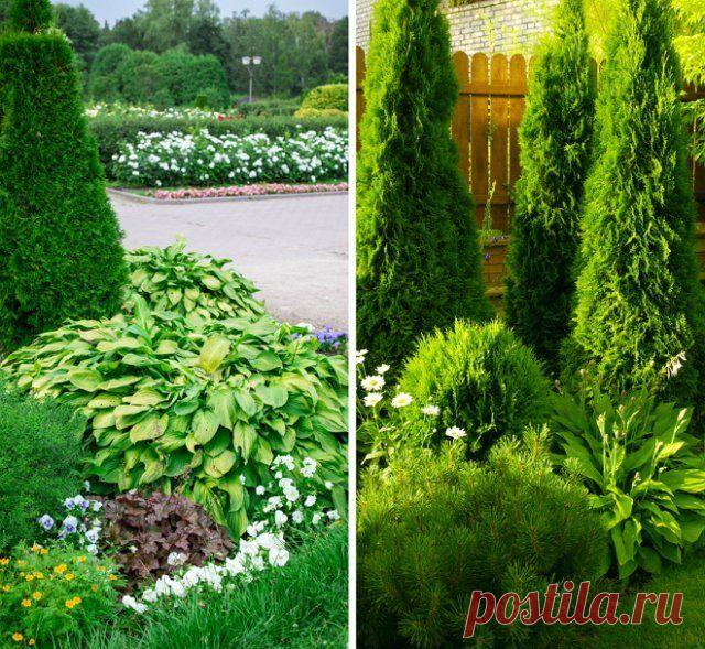 Как красиво разместить хосты на участке