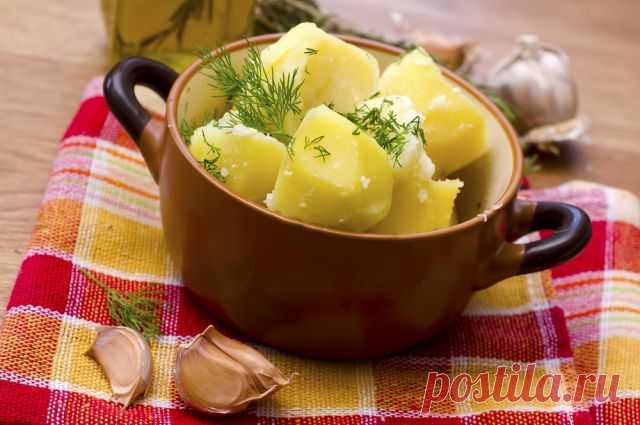 Жареная, вареная и пюре. 24 кулинарные хитрости при готовке картошки | Продукты и напитки | Кухня | Аргументы и Факты