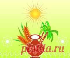 15 января памятная дата Понгал — праздник урожая в Индии