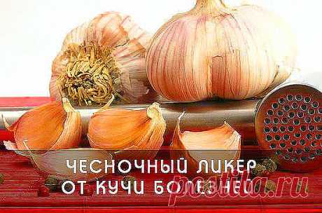В прозрачную бутылку положить 12 зубчиков чеснока, каждый разделенный на 4 части. Залить тремя стаканами красного вина. Закрыть и поставить на окно, на Солнце на две недели. Каждый день взбалтывать 2 - 3 раза. По окончании срока, процедить и перелить в темную бутылку.
Принимать этот ликер необходимо по чайной ложке три раза в день в течении месяца. Просто чудодейственное средство, чтобы вывести соли из организма, повысить работоспособность, очистить кровь, улучшить иммунит...