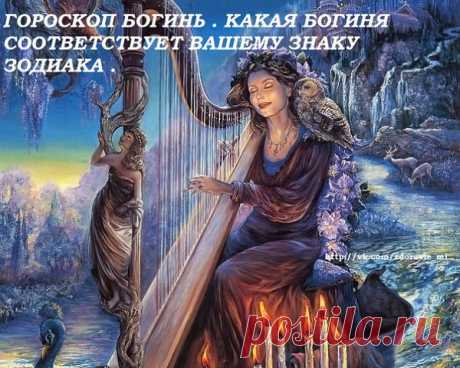 (1) Одноклассники