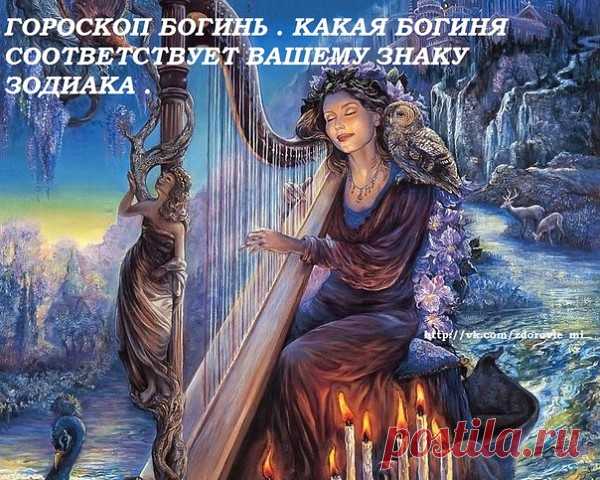 (1) Одноклассники