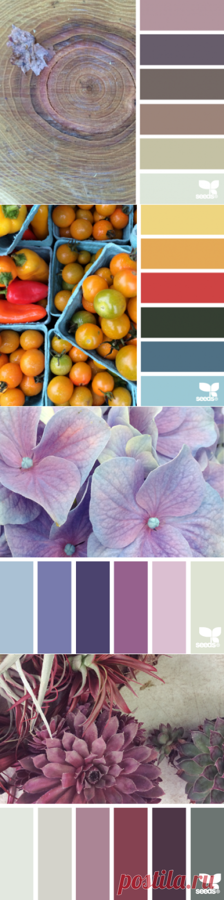design seeds | for all who ♥ color