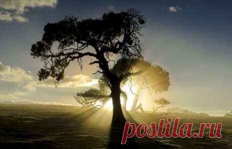 5 лучших историй с моралью