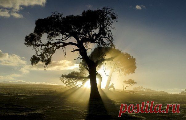 5 лучших историй с моралью