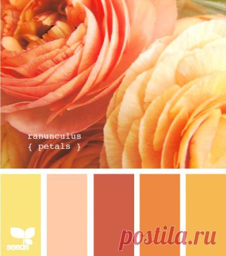 Цветы, деревья — источник вдохновения! | BepHuK собирает друзей