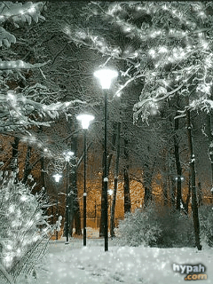 1100836.gif (240×320)