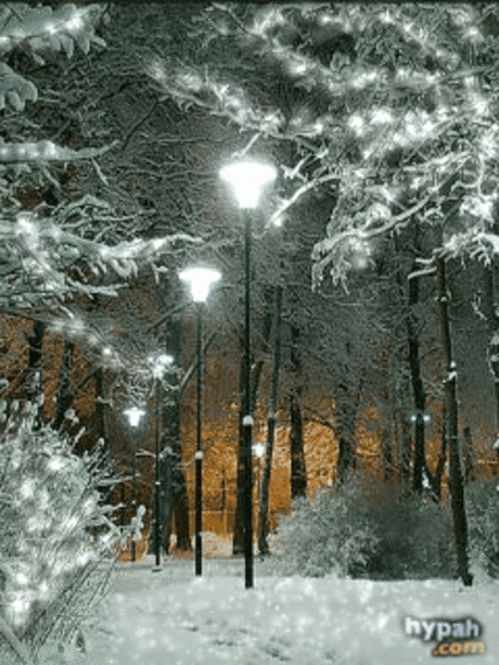 1100836.gif (240×320)