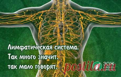 ЛИМФАТИЧЕСКАЯ СИСТЕМА. Что необходимо знать каждому?
И почему необходимо каждый день хорошенько пропотеть от физических упражнений.

ЧИТАТЬ ВСЕМ и ДО КОНЦА !!!
Не могла не поделиться этой статьей.
Показать полностью…