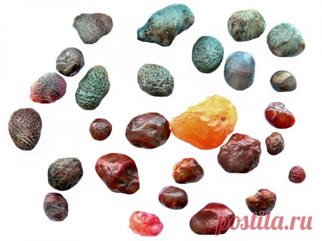 Сергей Колтунов
60 лет, Монголия, Бор-Ундур