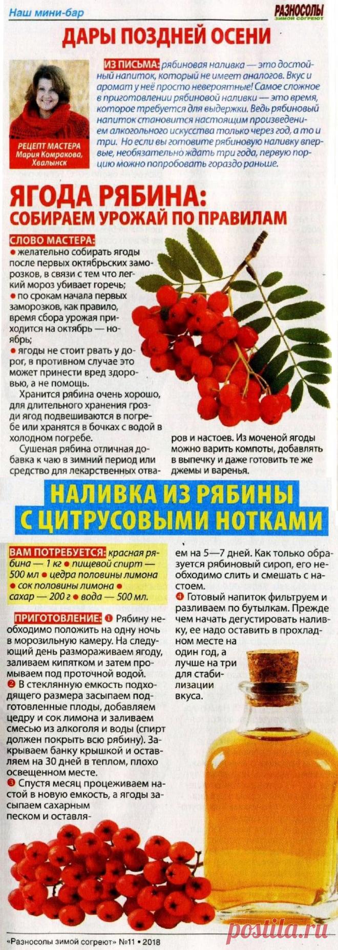 Наливка из рябины с цитрусовыми нотами