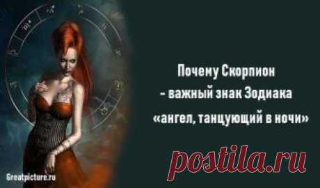 Почему Скорпион - важный знак Зодиака, «ангел, танцующий в ночи» Почему Скорпион - важный знак Зодиака, «ангел, танцующий в ночи».И проводник сквозь темноту. Скорпион - один из самых важных знаков зодиака. Это ангел, Почему Скорпион - важный знак Зодиака, «ангел, танцующий в ночи».И проводник сквозь темноту.Скорпион - один из самых важных знаков зодиака.