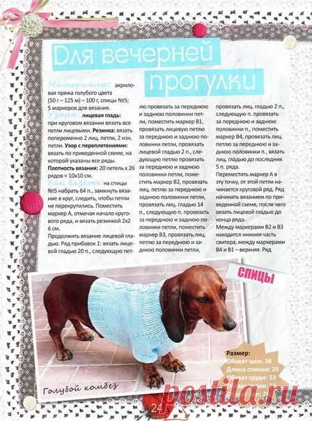 Поиск новостей по запросу шьем сами одежду для собачек