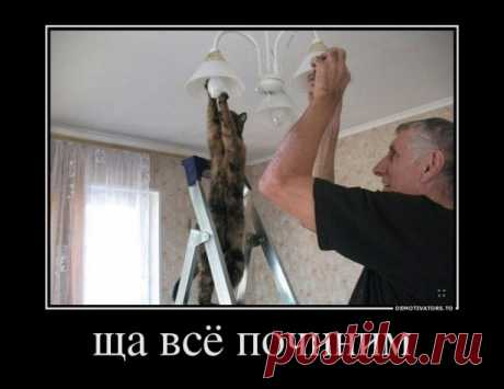 Юмор по пятницам))
