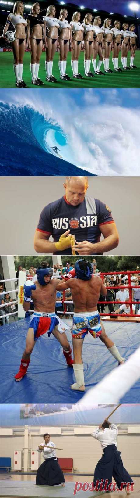Сумо, Лякросс, Метание лески, Спортинг. (1/1) - Спортивный форум. - Спортивный сайт