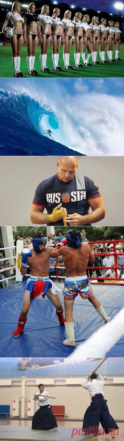 Сумо, Лякросс, Метание лески, Спортинг. (1/1) - Спортивный форум. - Спортивный сайт