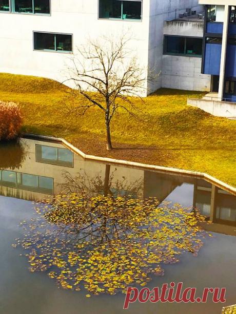 Тень прошлого 🍂🍁