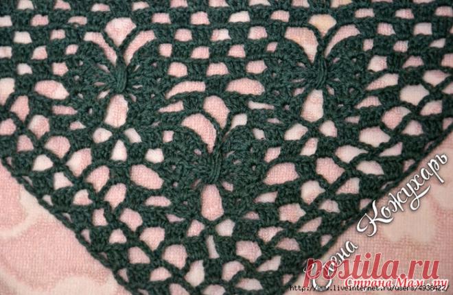 Дневник Лада_Германовна