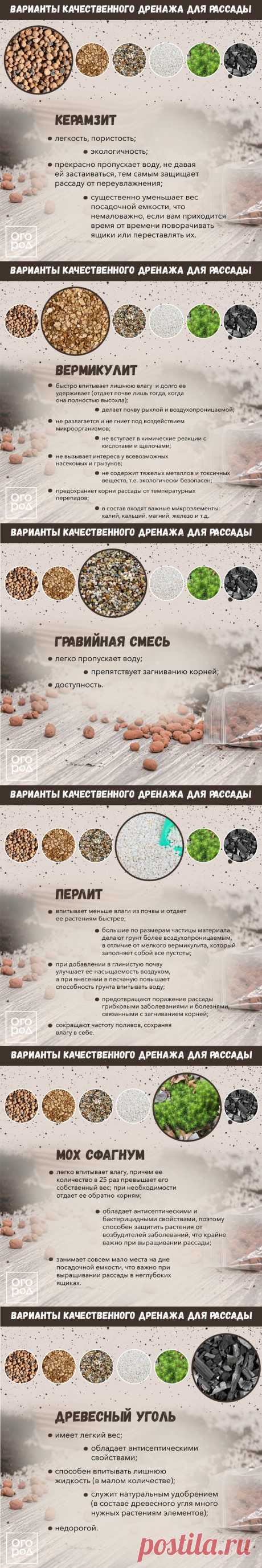Варианты качественного дренажа для рассады