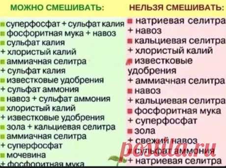 Полезная информация