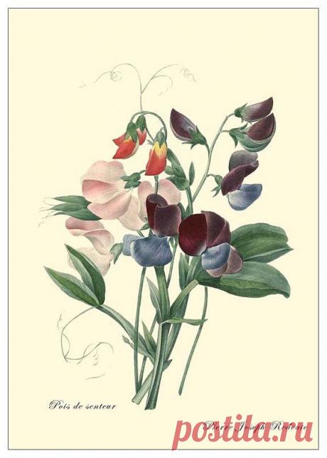 Найдено на сайте etsy.com.