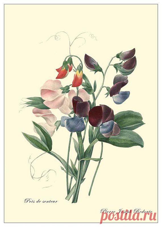 Найдено на сайте etsy.com.