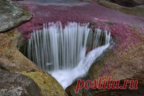 Cамая красивая река / Всё самое лучшее из интернета