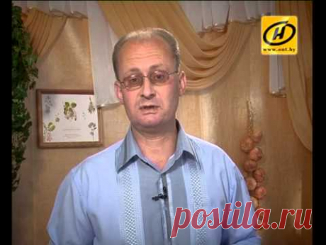 Грибок на ногах: лечение и фото, симптомы и проявления