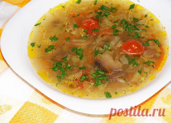 Щи с молодой капустой и грибами