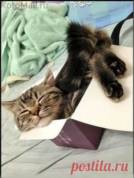 Нет ничего милее..., коробки моей