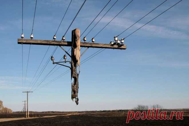 50 фотоснимков, на которых реальность круче фотошопа / Всё самое лучшее из интернета