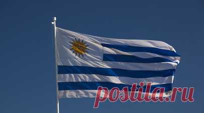 Посольство России в Уругвае получило звонок о бомбе, он не подтвердился. В российское посольство в Уругвае поступил звонок с информацией о заложенном взрывном устройстве. Данные не подтвердились. Читать далее